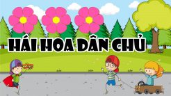 trò chơi hái hoa dân chủ