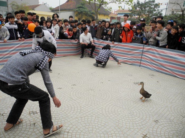 Trò chơi Bắt Vịt Trên Cạn