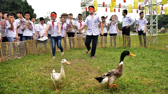 Trò chơi Bắt Vịt Trên Cạn