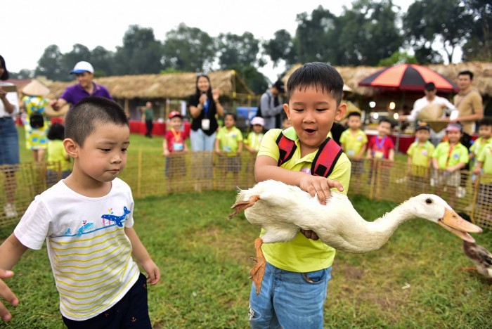 Trò chơi Bắt Vịt Trên Cạn