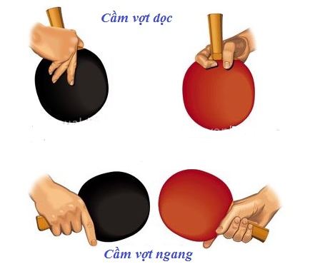 kỹ thuật đánh bóng bàn