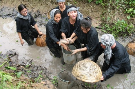 Tour Du Lịch Miền Tây Tát Mương Bắt Cá 1 Ngày giá từ 1.200.000đ | Viet Fun  Travel